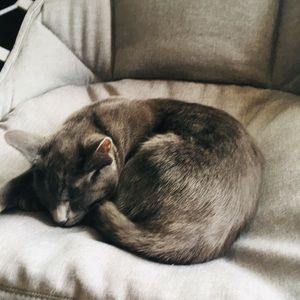 Meet your Posher, Rahma